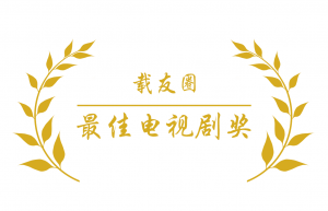 载友圈最佳电视剧奖
